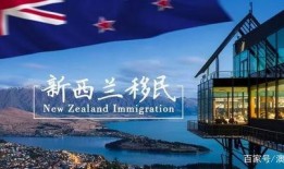 新西兰新闻爆料最新消息,重大事件引发社会关注